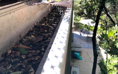 Top-Quality Gutter Cleaning Services in Cincinnati, OH by Mr PW Cleaning: Essential Home Maintenance